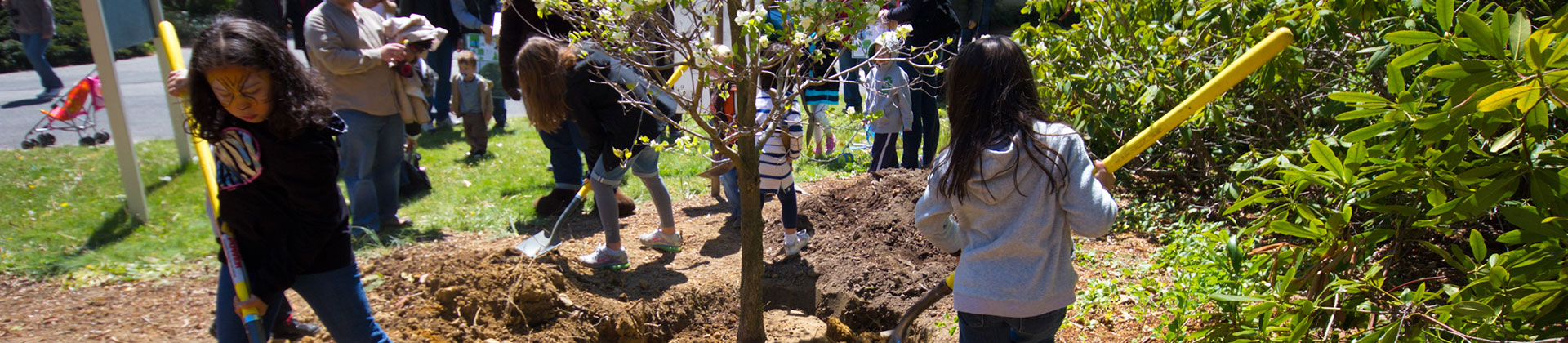 Children planting tree's in a park