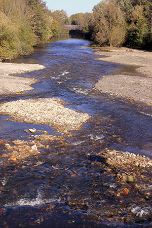 A creek