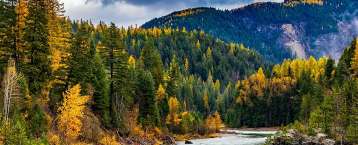 Community Service Block Grant